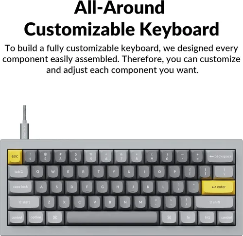 Vista 5 de Keychron Teclado mecánico Q4 personalizado con cable junta doble de diseño del 60 macro programable QMKVIA interruptor Gateron G Pro marrón