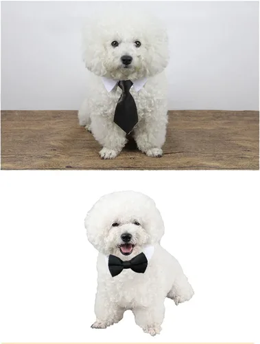 Vista 6 de Disfraz de 4 piezas para mascotas, perro, gato, corbatín para mascotas, collar formal ajustable para gatos, perros pequeños, accesorios de aseo