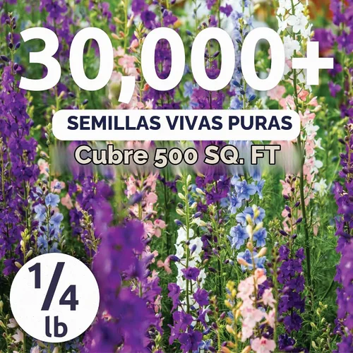 Vista 2 de Rocket Larkspur Imperial Mix - Bolsa a granel de 1/4 libra - 30,000 semillas de flores para plantar - Consolida ajacis