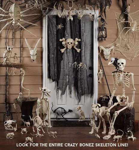 Vista 4 de Crazy Bonez Lindo gato esqueleto
