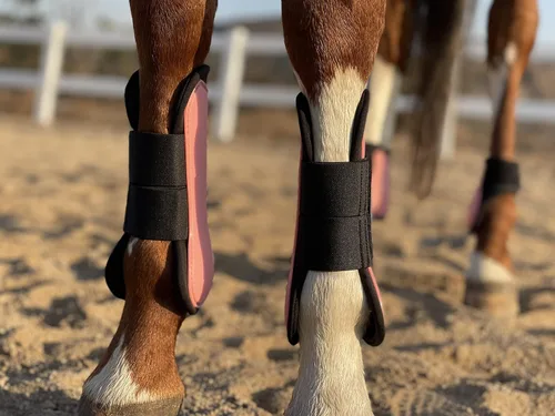 Vista 14 de Ride Now Juego de 4 botas de tendón de caballo con frente abierto/Fetlock para caballo