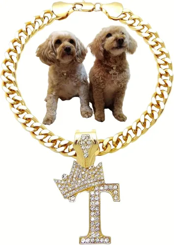 Vista 28 de Collar de cadena con letra inicial cubana para perro, collar de cadena para mascotas, gato, collar para cachorro (S, 25 cm)