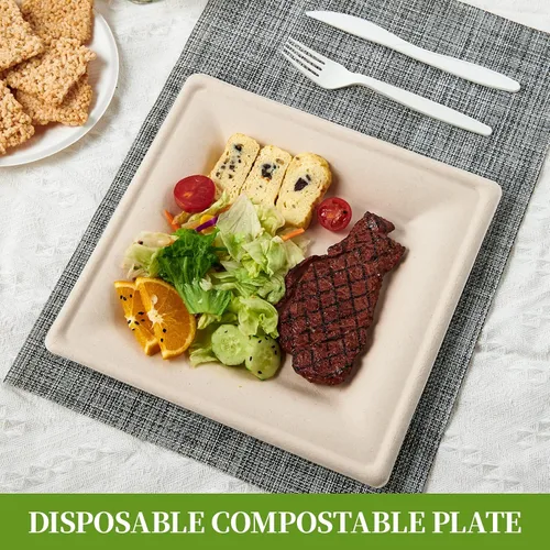 Vista 5 de ECOLipak Paquete de 100 platos cuadrados compostables, platos de papel desechables de 10 pulgadas hechos de caña de azúcar, ecológicos, resistentes