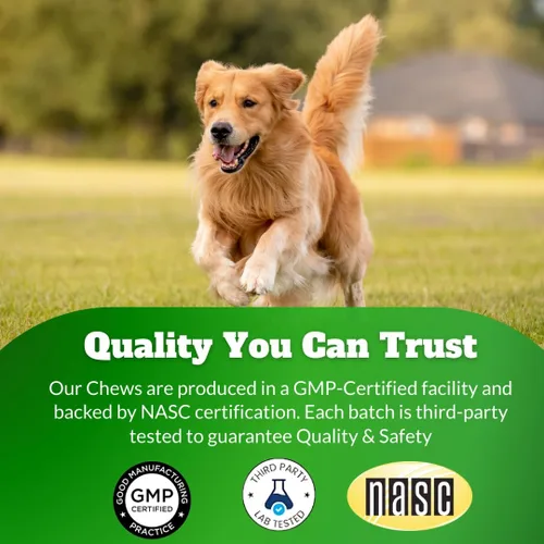 Vista 9 de Suplemento masticable para articulaciones de perros con glucosamina, MSM y Omega 3, apoyo articular para perros mayores y de razas grandes