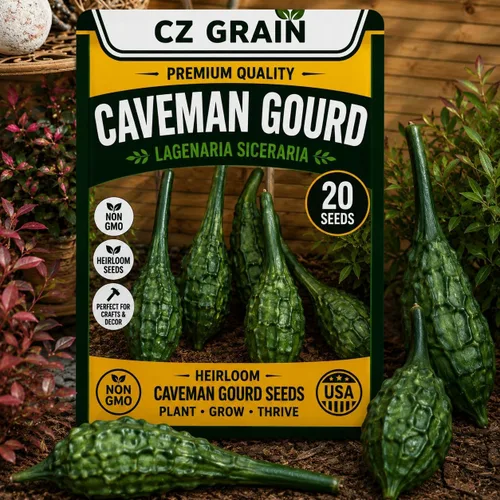 Vista 55 de CZ Grain Semillas para plantar, 40 pequeñas mezclas de calabaza