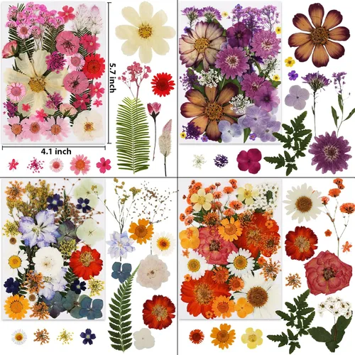 Vista 2 de 420 flores secas prensadas para resina, flores secas naturales reales a