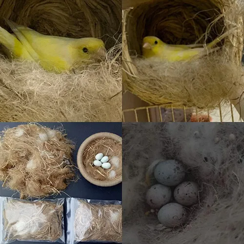 Vista 5 de Materiales naturales de anidación de aves de 1.4 onzas, material de cama de nido de pájaros, ideal para la construcción de nidos para pájaros