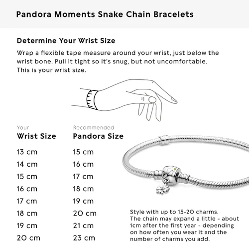 Vista 6 de PANDORA Moments - Pulsera de plata de ley 925 con cierre de margarita