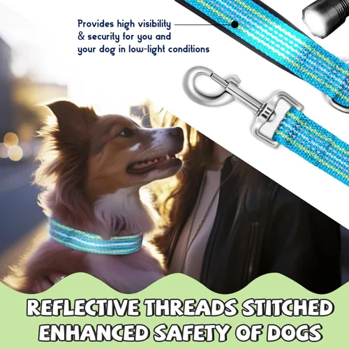 Vista 4 de Juego de collar y correa reflectante para perro, correa de nailon para perro con anillo en D de acero resistente, ajustable con hebilla de Cian