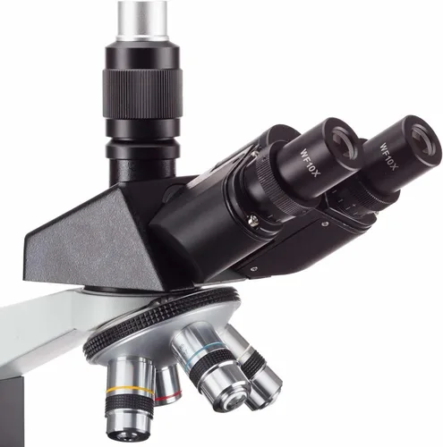 Vista 3 de AmScope T490B Microscopio trinocular compuesto, ampliación de 40X-2000X, luz halógena, condensador Abbe, mesa mecánica de 2 capas, óptica de alta