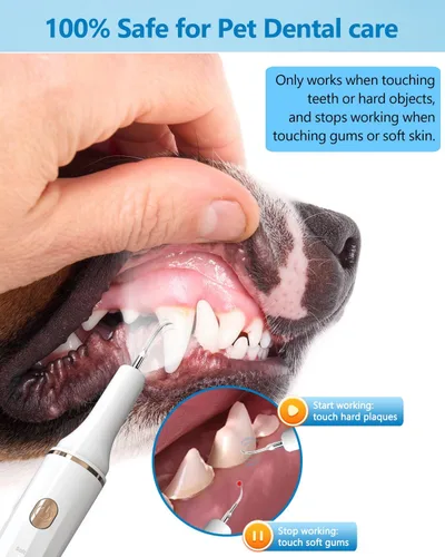 Vista 3 de Hansaplast Removedor de placa para dientes, limpieza de dientes de perro, herramientas dentales para eliminar el sarro y las manchas, seguro