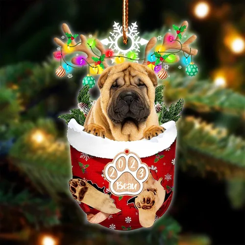 Vista 63 de NAZENTI Adorno Navideño de Bolsillo Personalizado de Affenpinscher en la Nieve, Adorno de Forma Acrílica de Perro, Adorno de Navidad 2023, Adorno
