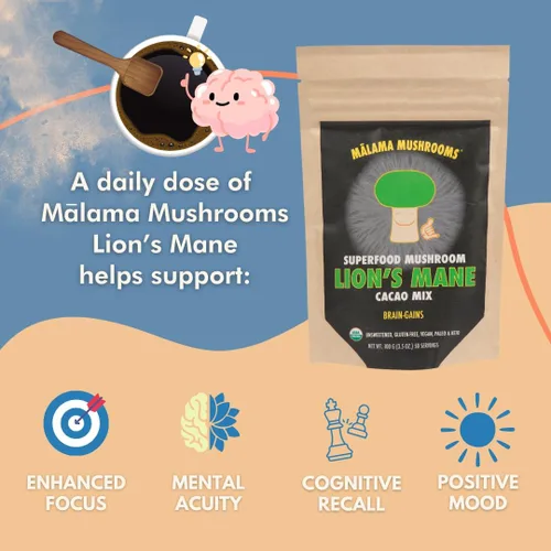 Vista 4 de Malama Productivity & Chill Bundle – Mezclas de cacao caliente de melena de león y hongos Reishi – Superalimentos adaptogénicos funcionales