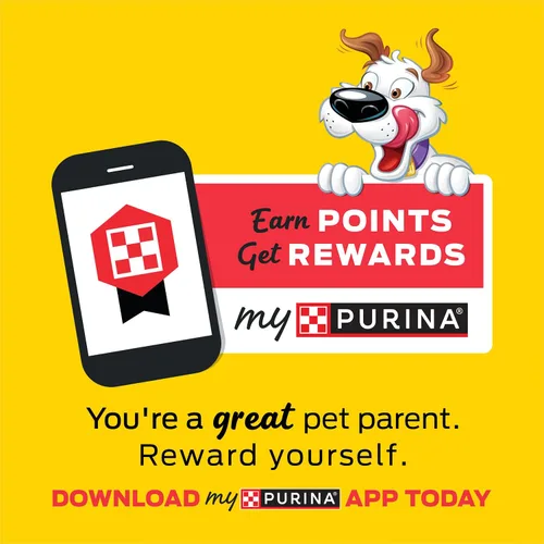 Vista 4 de Purina Beggin' Strips - Golosinas para perros, sabores de tocino y queso