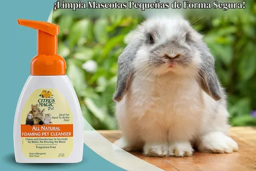 Vista 3 de Citrus Magic Pet Champú para mascotas sin enjuague, 8 onzas líquidas Acondiciona y desodoriza abrigos, ideal para perros, gatos, hurones