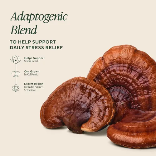 Vista 3 de OM MUSHROOM SUPERFOOD Relax - Cápsulas de hongos, 90 unidades, 30 días, hongos Reishi, Ashwagandha, GABA, L-teanina, magnesio, adaptógenos