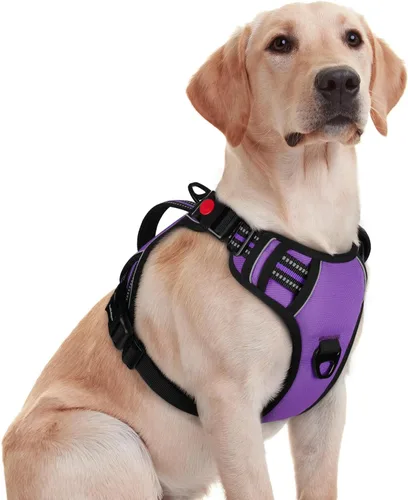 Vista 14 de rabbitgoo Arnés para perro de tamaño pequeño, arnés para mascotas sin tirones con mango acolchado suave, chaleco reflectante ajustable con 3