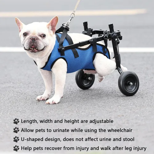 Vista 2 de Silla de ruedas ligera para perros y patas traseras, carrito ajustable con 2 ruedas, soporte de cadera transpirable, soporte para la pierna, ayuda a