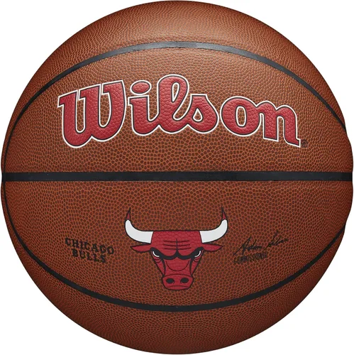 Vista 13 de Wilson NBA Team Alliance Balones de baloncesto - Tamaño 7-29.5