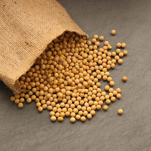 Vista 3 de Semillas de soja – Paquete de 1.06 oz ~ 175 semillas – Orgánicas, sin OMG – brotes germinantes, tofu, almacenamiento de alimentos, cultivo y huerto