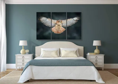 Vista 2 de JMINRISMV Pájaro de presa volador sobre el campo Prado Cola Roja Hawk Buteo Arte de pared Pintura de cuadros impresos en lienzo estirado y enmarcado