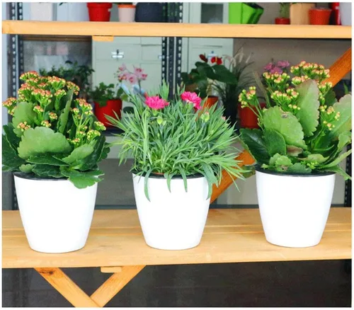 Vista 2 de Maceta de riego automático de 3.5 pulgadas, maceta pequeña de 3 piezas, para todas las plantas, hierbas, violetas africanas, suculentas, flores