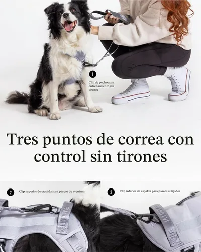 Vista 3 de Fei & Eve MagEase - Arnés magnético para perro de 3 segundos, chaleco táctico sin tirones, MOLLE de conexión rápida con 3 clips para la correa Negro
