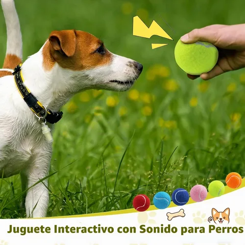 Vista 5 de Swingers Pelotas de tenis chirriantes para perro, pelotas de tenis de Varios