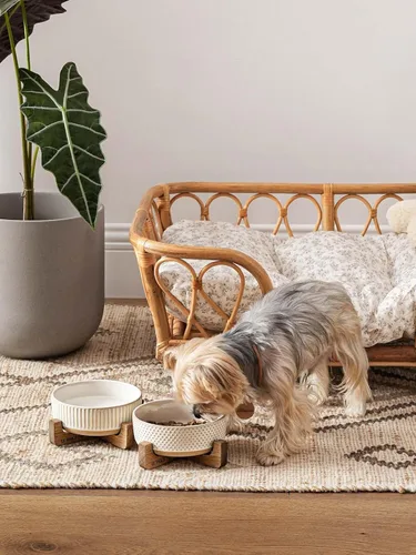 Vista 8 de LE TAUCI PET Juego de cuencos de cerámica para perros y gatos con soporte de madera de acacia, 2 tazas con peso antideslizante para alimentos y agua