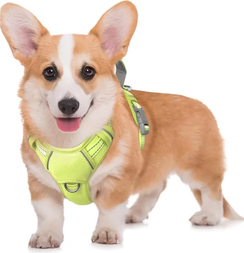 Vista 62 de BARKBAY Arnés para Perro Sin Tirones Talla Grande Arnés Reflectante para Perro con Clip Frontal y Asa de Control Fácil para Caminar Entrenar Correr