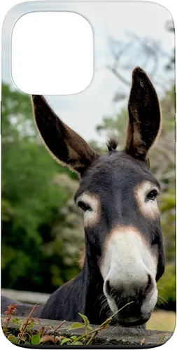 Vista 24 de Funda Donkey para iPhone 17