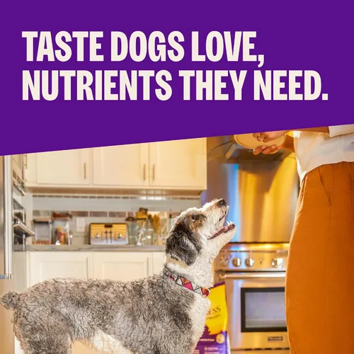 Vista 2 de Wellness Complete Health - Alimento seco para perros de raza grande con granos, ingredientes naturales, fabricado en Estados Unidos con carne real