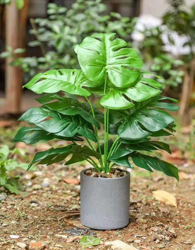 Vista 3 de 2 plantas artificiales medianas de 16 pulgadas en macetas, plantas artificiales de interior para el hogar, oficina, dormitorio, escritorio, cocina