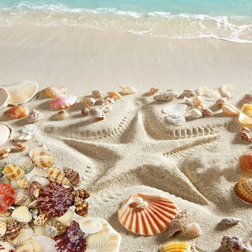 Vista 6 de Famoby 210 piezas mixtas de conchas marinas de playa, conchas marinas para decoración de fiesta temática de playa, manualidades, fabricación