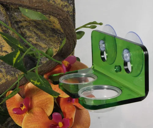 Vista 3 de Plato de comida Gecko crestado, 100 unidades, tazas de alimentación de reptiles de plástico de 0.5 onzas
