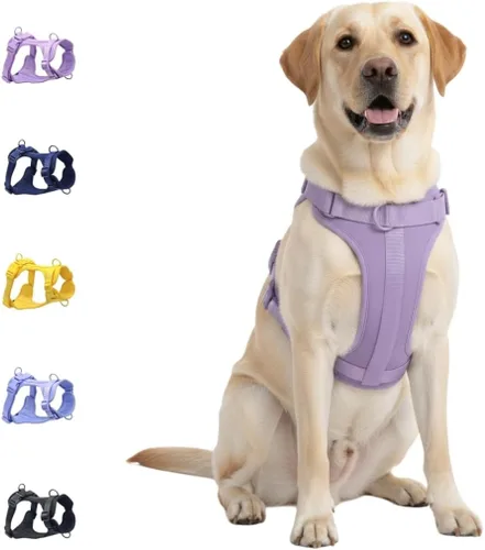 Vista 21 de Dog Harness - No Pull Adjustable Front Clip Vest with Soft Padding, 3Leash Clips, and No-Choke Oxford Design Comfort for Small, Medium, and Large