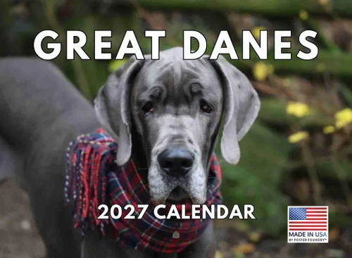 Vista 98 de Calendario mensual de pared Airedale Terrier Dog 2027