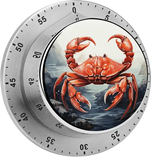 Vista 13 de African Woman Kitchen Timer 60 Minute Visual Wind Up Timer Indoor Mechanical Timers with Magnetic Base Stainless Steel Timers for Home Cooking Time