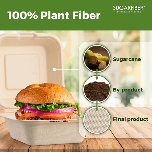 Vista 3 de [500 unidades] Fibra de azúcar por Harvest Pack PFAS FREE 6 x 6 pulgadas compostable Clamshell Recipientes de alimentos, contenedor con bisagras