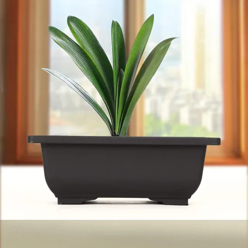 Vista 7 de MANCHAP 20 macetas de plástico para entrenamiento de bonsái de 8.9 pulgadas, maceta rectangular para jardín, patio, oficina, decoración del hogar