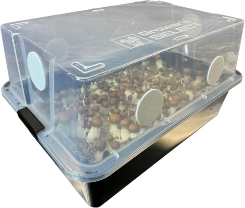 Vista 4 de Kit de recarga completo para monotubo medio 48Q - Incluye semilla de grano y sustrato a granel