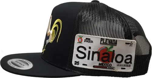 Vista 2 de Dos gallos con la placa de Sinaloa al lado sombrero Malla negra