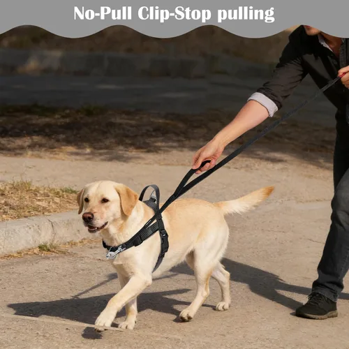 Vista 6 de Annchwool Arnés para perro sin tirones con clip frontal y asa de fácil control, arnés ajustable para el vientre y el pecho y correa para perros