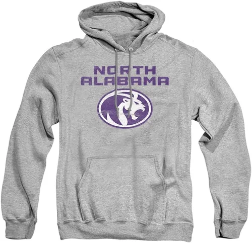 Vista 166 de Distressed College Primary Logo Adult Pullover Hoodie Collection 1 Universidad Estatal de Albany