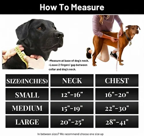 Vista 9 de Dog Harness - No Pull Adjustable Front Clip Vest with Soft Padding, 3Leash Clips, and No-Choke Oxford Design Comfort for Small, Medium, and Large
