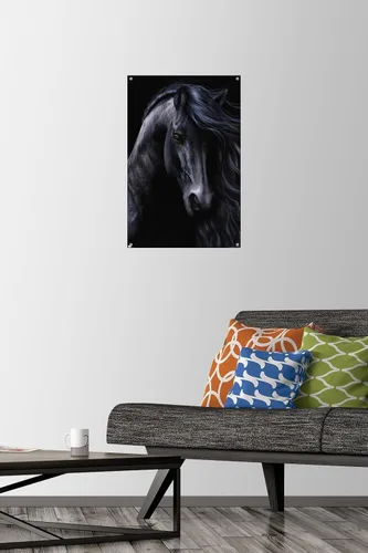 Vista 2 de Trends International Laurie Prindle - Póster de pared negro con pasadores