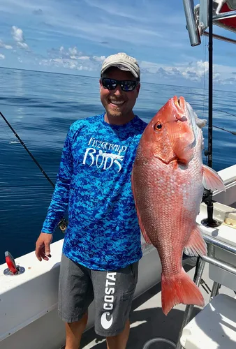 Vista 8 de Fitzgerald Stunner HD Saltwater Offshore Spinning Rod Series Pesca Pesca Pesca