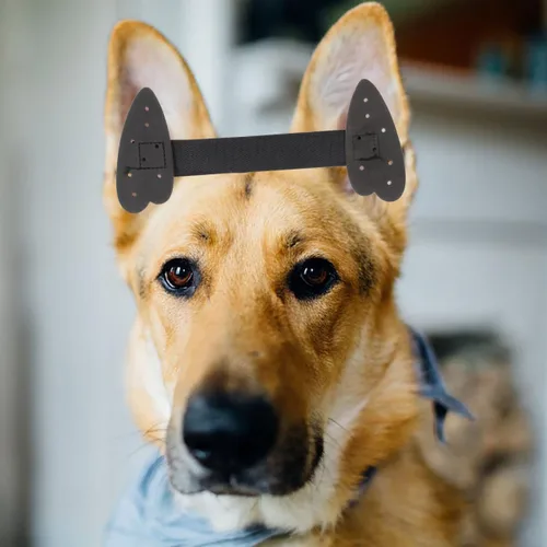 Vista 3 de ORFOFE - Kit de publicación de orejas de perro, cinta para orejas de perro y soporte para cachorros, cinta de pie con calcomanías