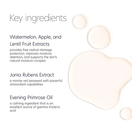 Vista 4 de PCA SKIN Hydrating Face Toner - Alcohol-Free Moisturizing Antioxidant Facial Treatment to Purify Pores, Alcohol-Free & Non-Comedogenic Formula