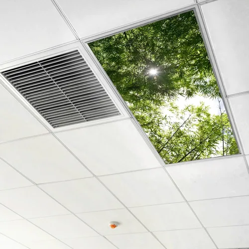 Vista 6 de Inserto de Cubierta de Luz de Techo Suspendido 4' x 2' pies (Naturaleza Bosque Hojas de Bambú Sol Verde) - Cubierta de Luz Fluorescente Reduce